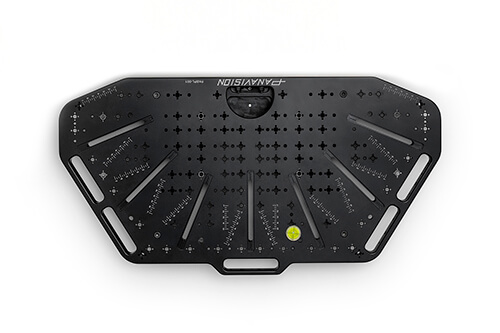 Panavision Large Camera Array